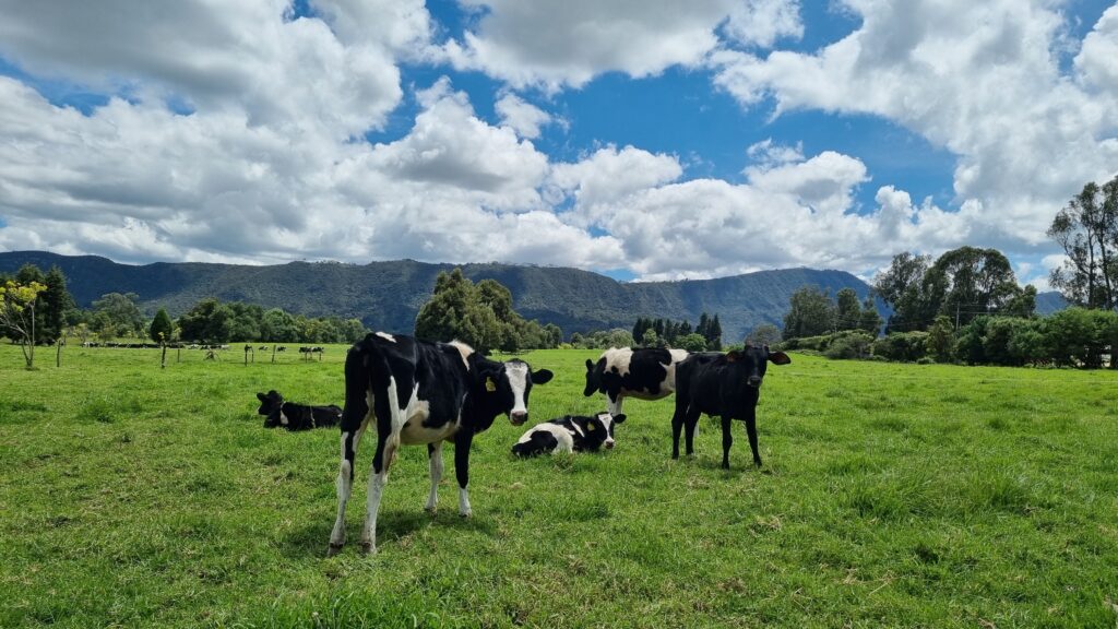Sostenibilidad granja